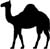 Rhetoric Camel's Avatar
