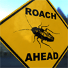 roach105's Avatar